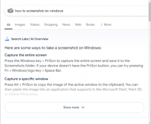 AI Overview範例-How
