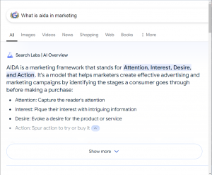 AI Overview範例-What